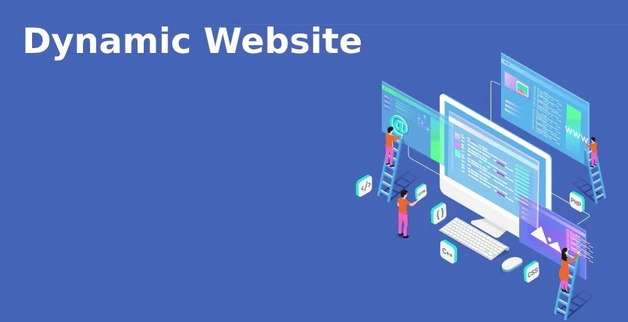 تفاوت سایت استاتیک و داینامیک 5